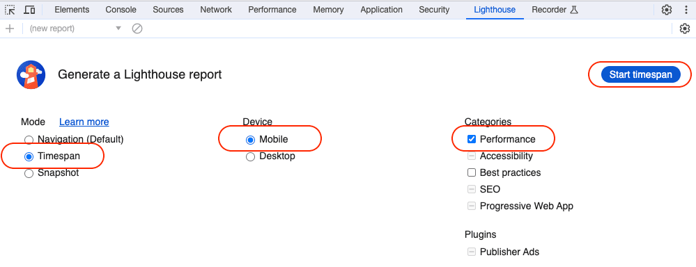 an screenshot of google lighthouse in the chrome developer tools explaining which boxes need to be checked to perform an INP test